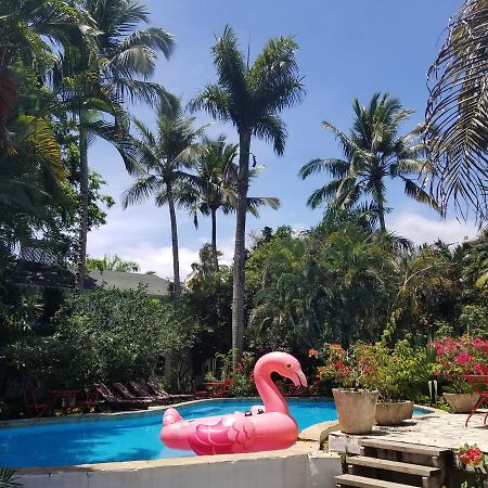 Hotel Cabarete Surf Camp Exteriér fotografie