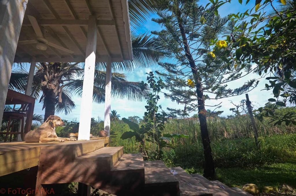 Hotel Cabarete Surf Camp Exteriér fotografie