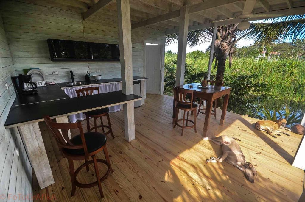 Hotel Cabarete Surf Camp Exteriér fotografie