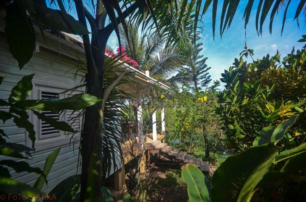 Hotel Cabarete Surf Camp Exteriér fotografie