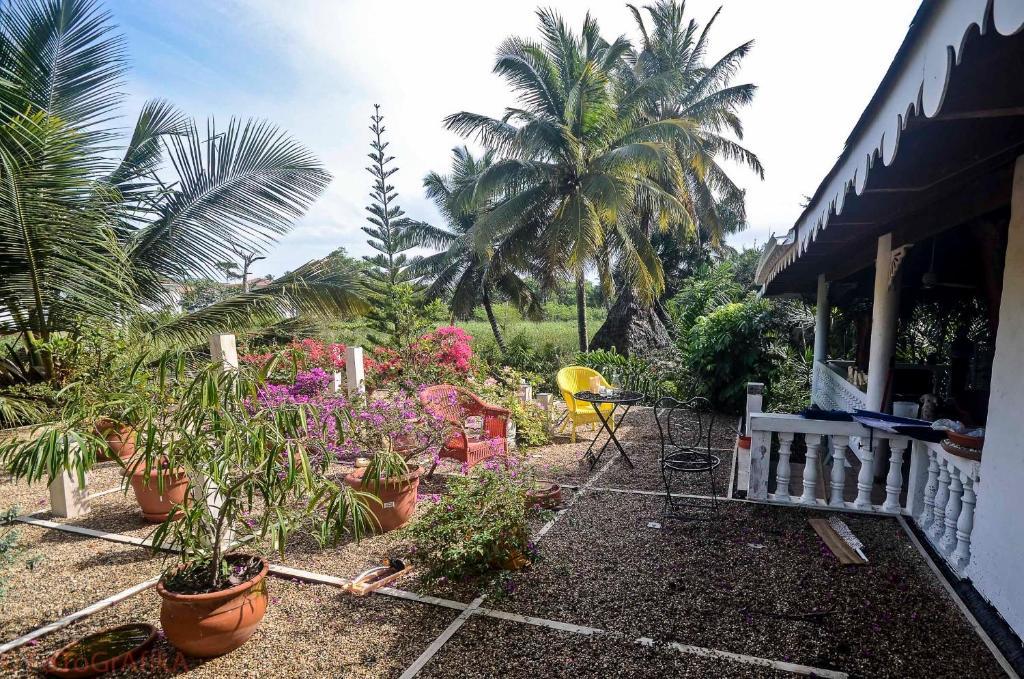 Hotel Cabarete Surf Camp Exteriér fotografie