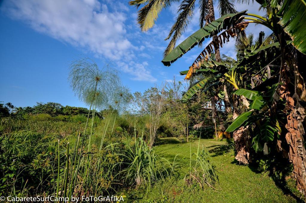 Hotel Cabarete Surf Camp Exteriér fotografie
