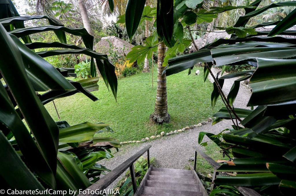 Hotel Cabarete Surf Camp Exteriér fotografie