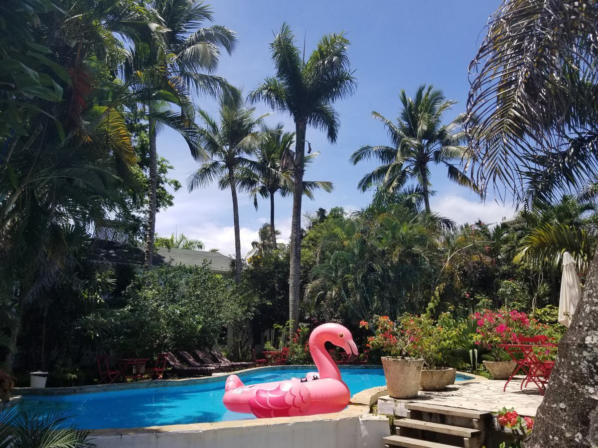 Hotel Cabarete Surf Camp Exteriér fotografie